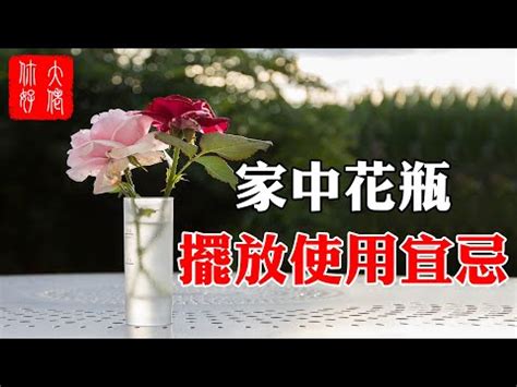 家裡放乾燥花好嗎|乾燥花能放客廳嗎？風水中不可不知的乾燥花居家擺放原則 